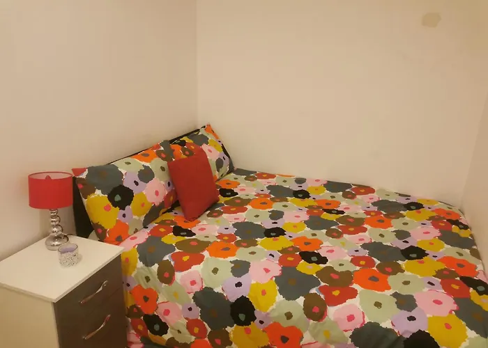 Lovely Spacious Room Near Train Station And University
